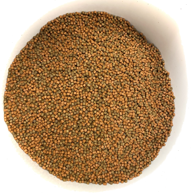 Choco Orange Pellets 4mm