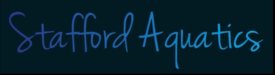 Stafford Aquatics